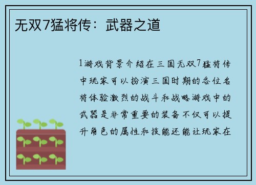 无双7猛将传：武器之道